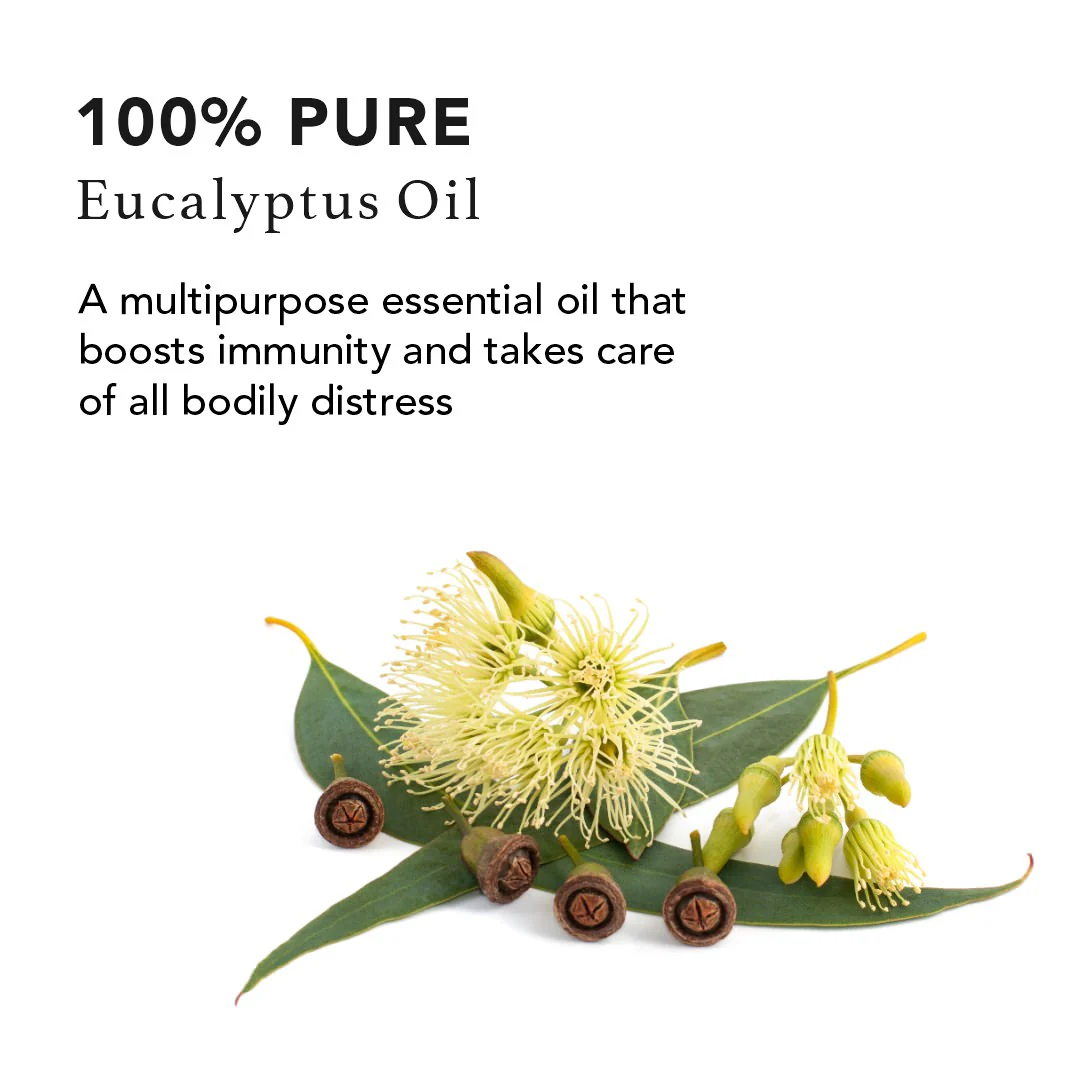 Eucalyptus Pure Essential Oil - Image 3