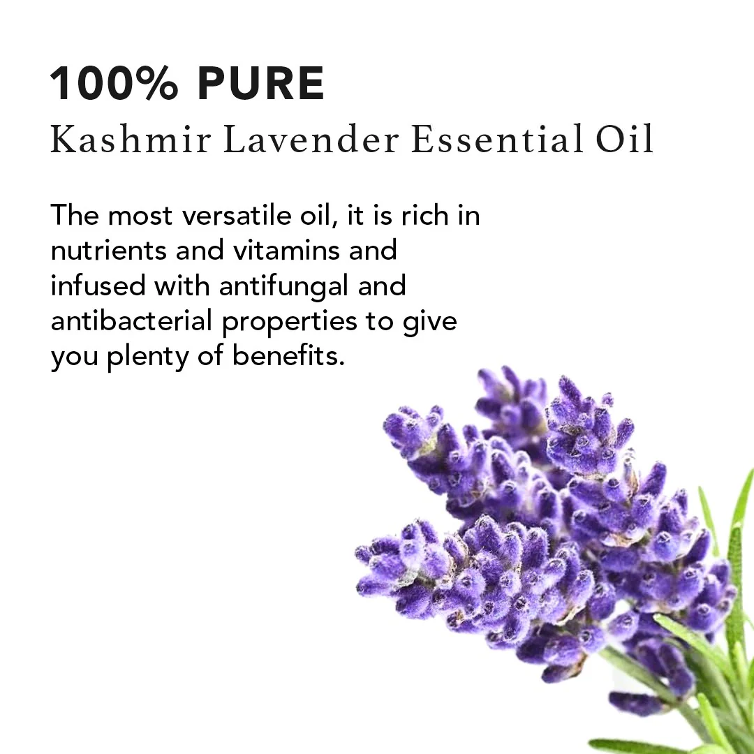 Kashmir Lavender Pure Essential Oil - Image 3