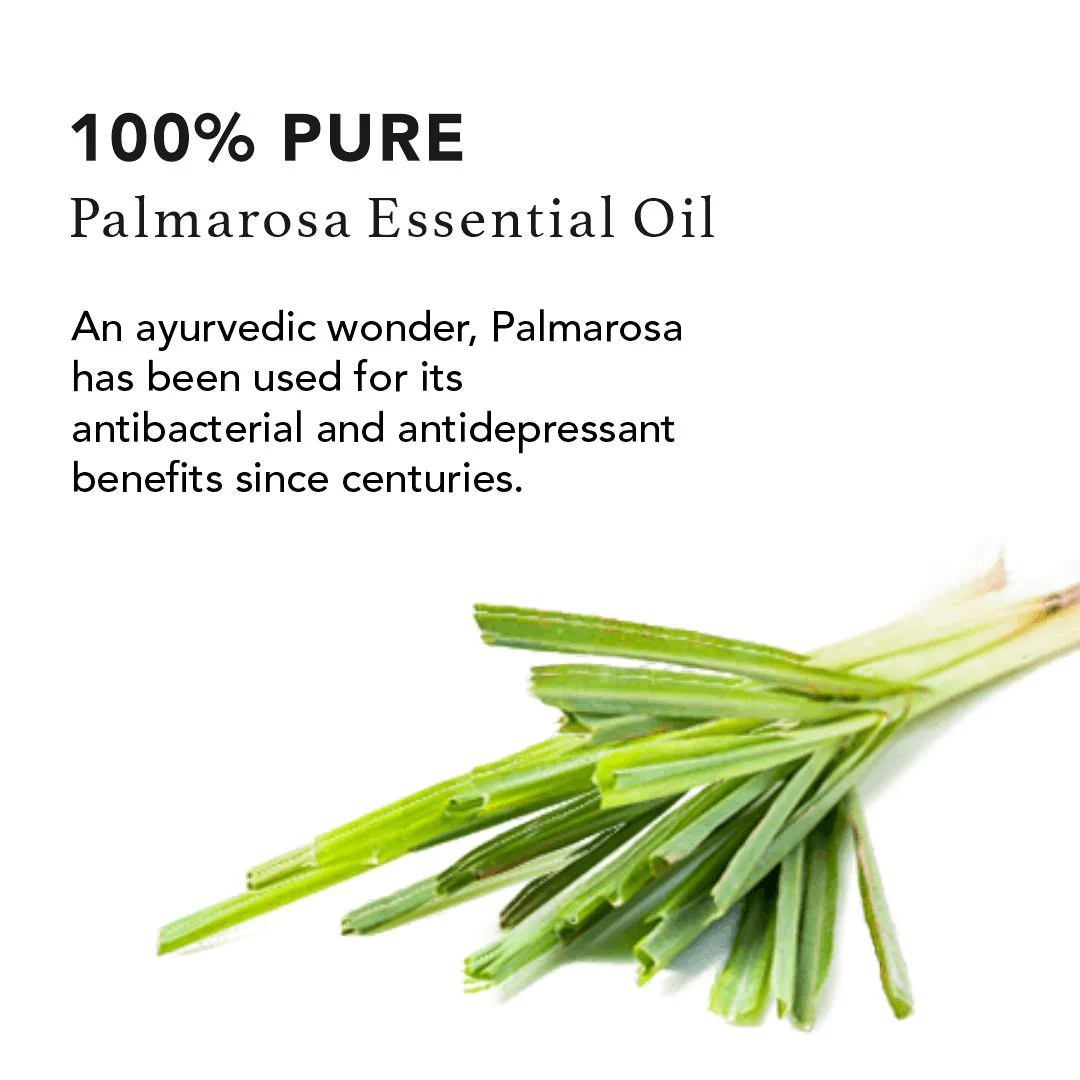 Palmarosa Pure Essential Oil - Image 3